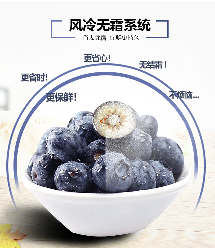 伊莱克斯electroluxt型门冰箱ese5019gd双变频三重保鲜超宽幅变温全新