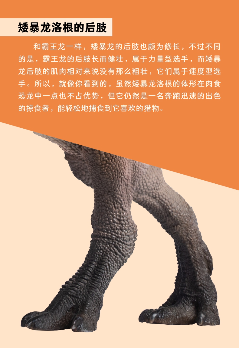 pnso矮暴龙洛根恐龙大王成长陪伴模型49
