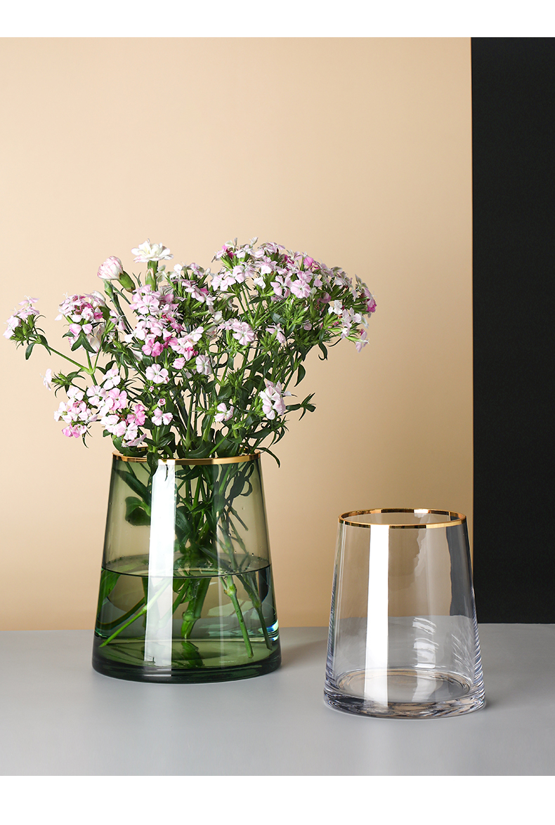 矮款金边宽口鲜花瓶插花瓶透明玻璃轻奢客厅餐桌装饰品摆件 fenghou