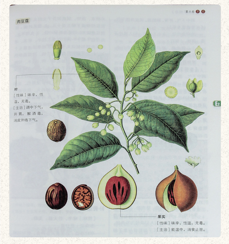 正版新书精装全彩版图解本草纲目白话文全套正版中医彩图中药学书与