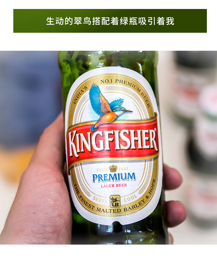 印度进口翠鸟啤酒清爽型拉格kingfisher330ml24瓶啤酒整箱