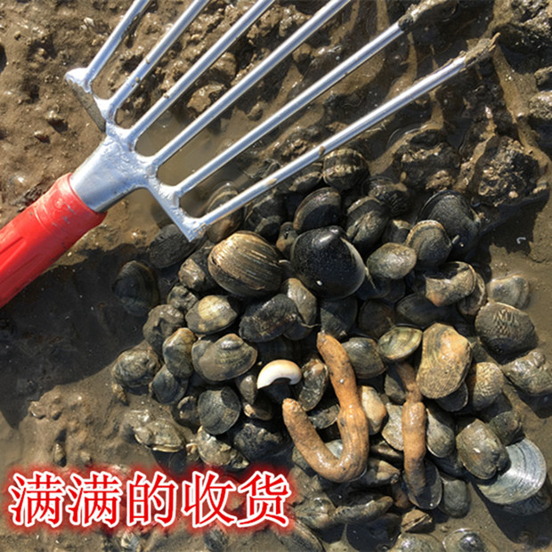 定做 不锈钢蛤蜊耙子沙滩挖蛤贝壳海鲜蛏子蚬子螺赶海工具小耙子 小