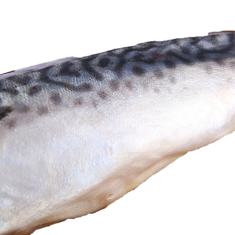 xj青花鱼冰岛新鲜鲐鲅鱼鲭鱼烤即食水产海鱼450g可开发票