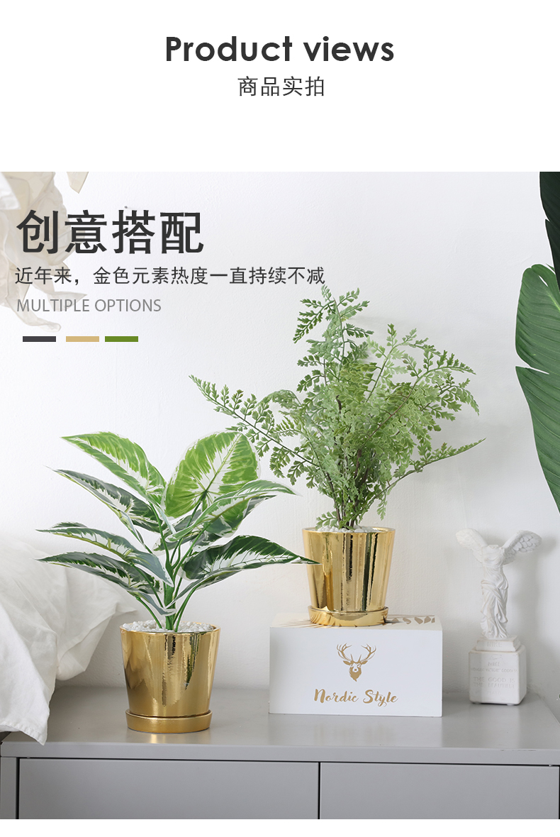 莱杉清洁工具北欧仿真植物带金色花盆套装室内客厅绿植装饰多肉小盆栽假花摆设 价格图片品牌报价 苏宁易购可书日用专营店 莱杉清洁工具北欧仿真植物带金色花盆套装室内客厅绿植装饰多肉小盆栽假花摆设 价格图片品牌报价 苏宁易购可书日用专营店