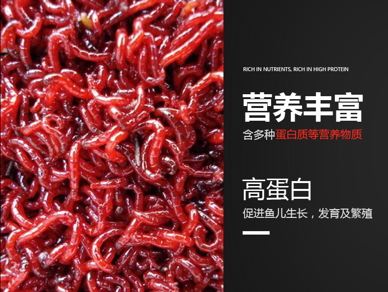 鱼食小型鱼冰冻红虫干丰年虾块观赏鱼饲料七彩神仙罗汉鱼粮斗鱼料250