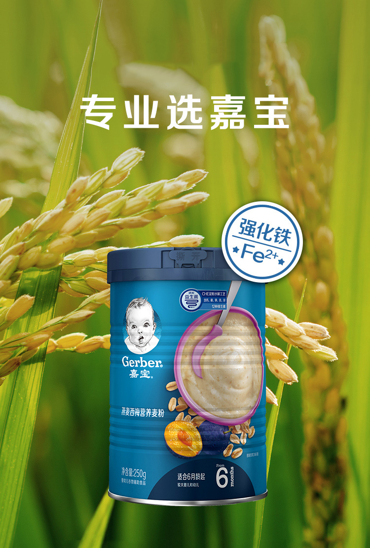 嘉宝gerber燕麦西梅营养麦粉罐装2段新老包装随机发货