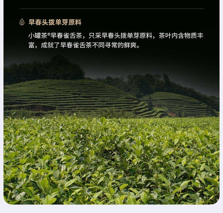 单芽采摘时间:明前产地:中国安徽黄山市国产/进口:国产类别:雀舌品牌