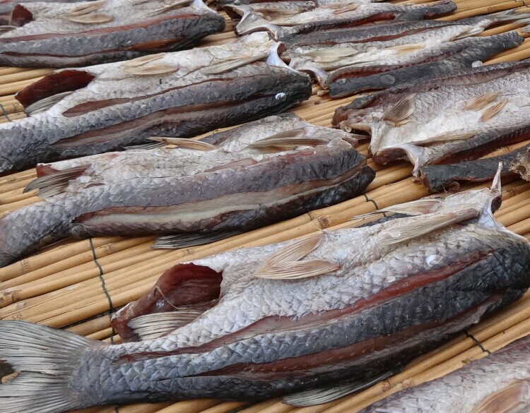 1000g 湖北特产农家自制干鱼干货腊鱼块风干草鱼块阳干鱼咸鱼块干鱼