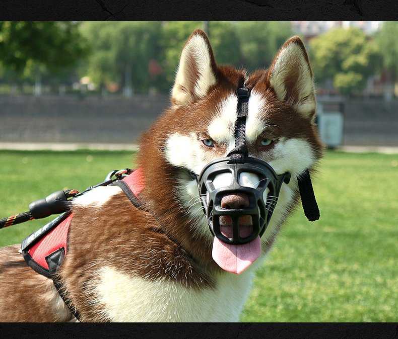 狗嘴套狗狗安全嘴罩狗套嘴咬叫乱吃中大型犬狗口罩金毛狗止吠器防咬