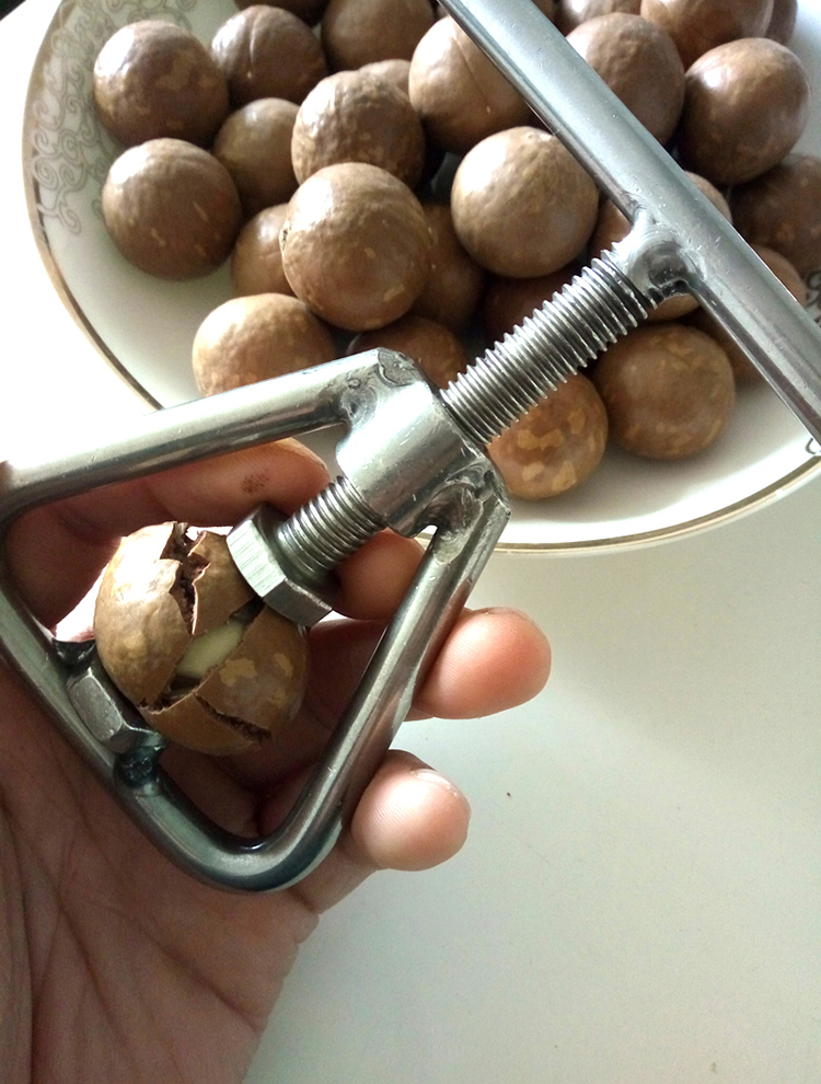开坚果器夏威夷果开壳器开口器开果器不锈钢夹子新鲜生坚果小工具