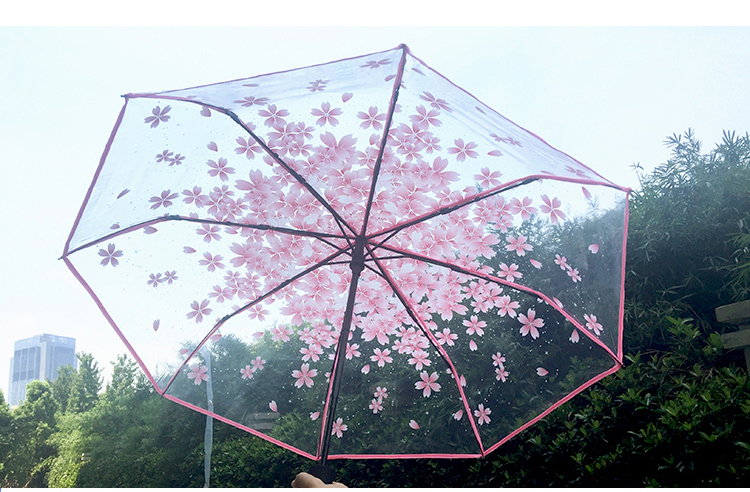 樱花伞透明雨伞女晴雨两用全自动少女心可爱折叠伞学生女神