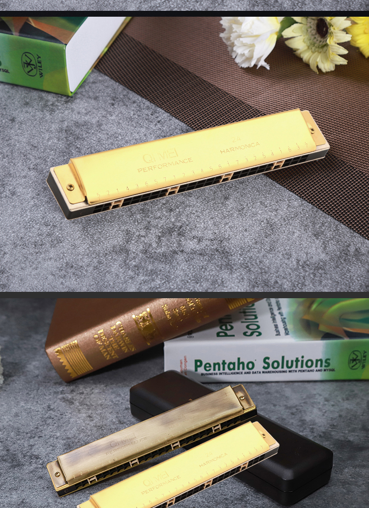 奇美口琴24孔初学者学生成人儿童专业复音c调男女演奏高级口风琴