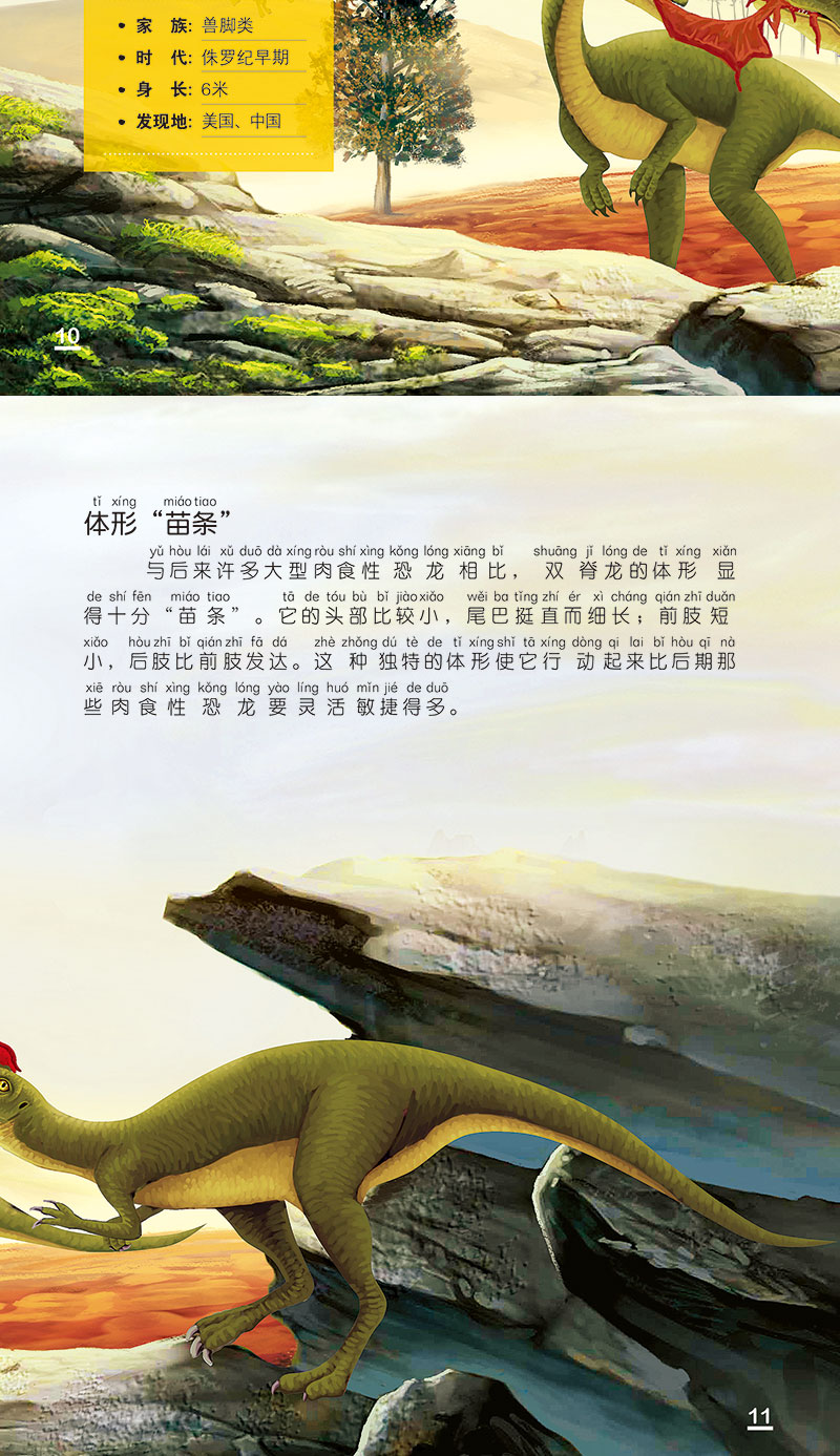 恐龙星球大揭秘 儿童恐龙书大百科全书 幼儿园启蒙小学生有关于霸王龙
