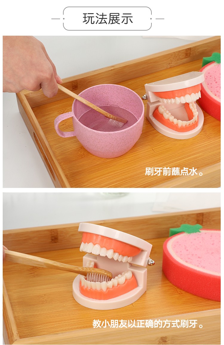 儿童蒙氏教具牙刷洗漱套装早教玩具假牙牙模型幼儿园认知牙齿刷牙套装