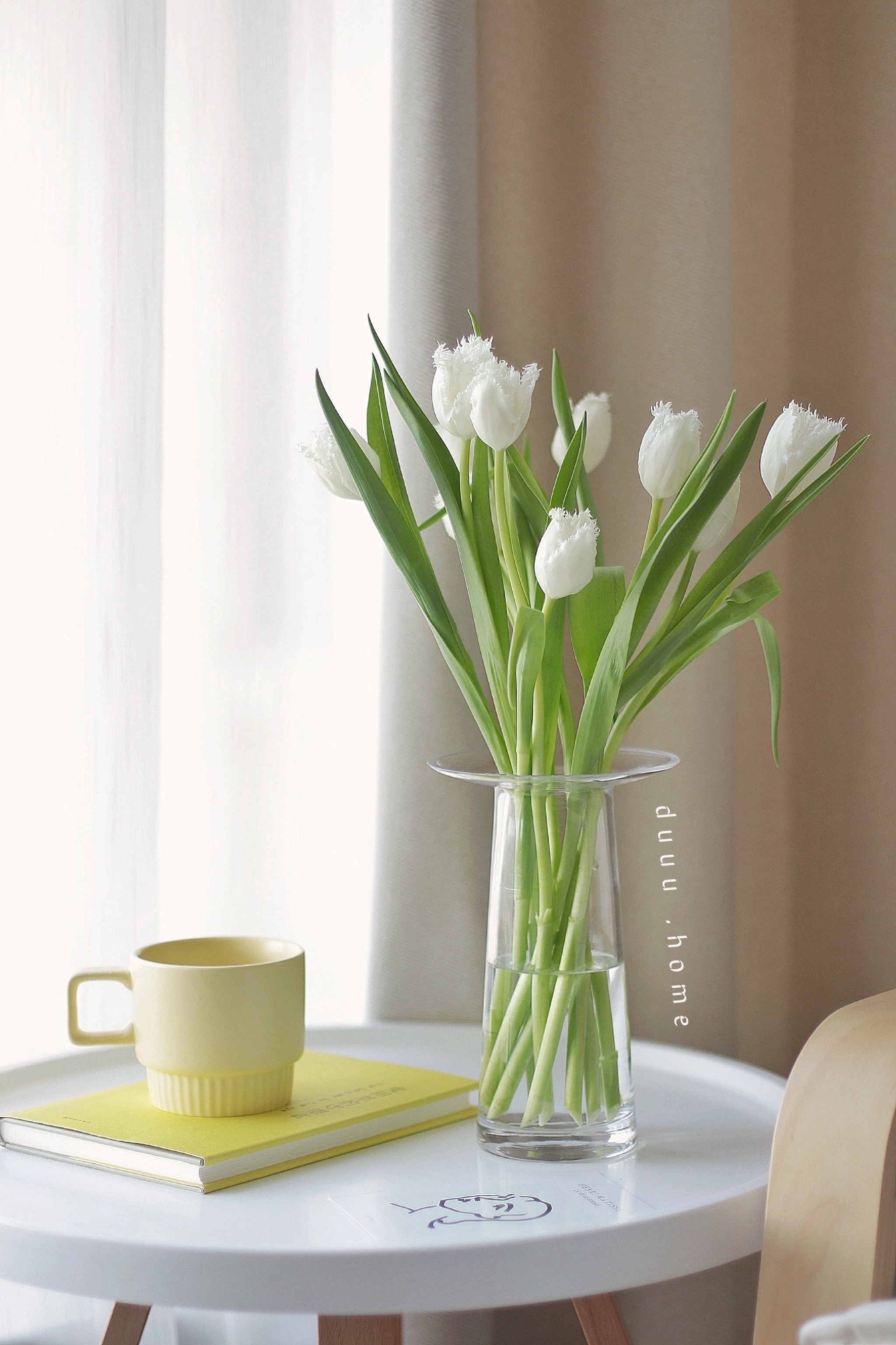 duuu现代简约郁金香玻璃花瓶客厅餐桌样板间小众花器家居摆件fenghou