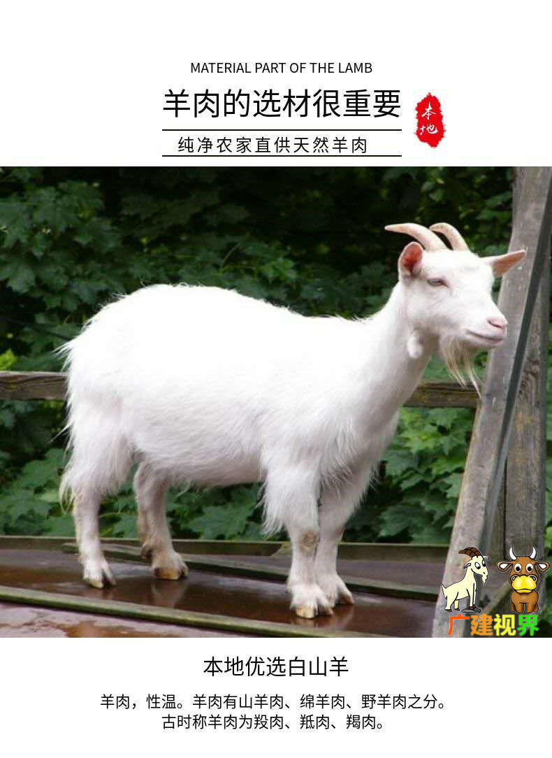 汶优香 Wenyouxiang 羊肉清真新鲜带皮山羊排带皮羊肉羊肋排羊排肉草地山羊排 非育肥 3斤瘦羊 腩 不带皮 价格图片品牌报价 苏宁易购汶优香赛卡伊零食专卖店