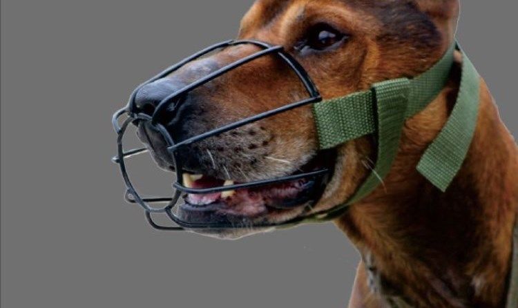 蓝色带子款金属铁烤漆嘴套 1号适合嘴长(4-5