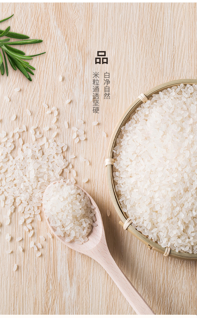 酥田大米南粳46江苏大米2021年优质新米圆粒米软糯可口