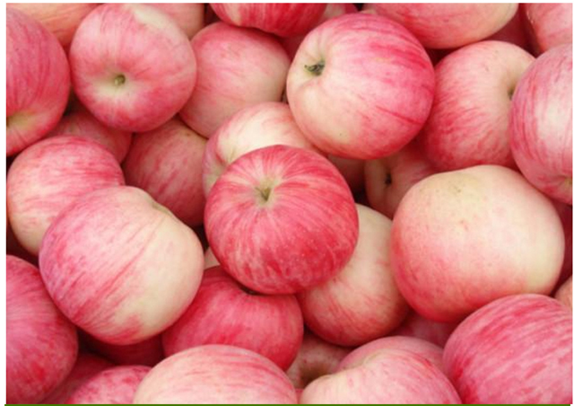 80实惠装灵宝寺河山红富士苹果非洛川新鲜当季脆水果平安果358斤