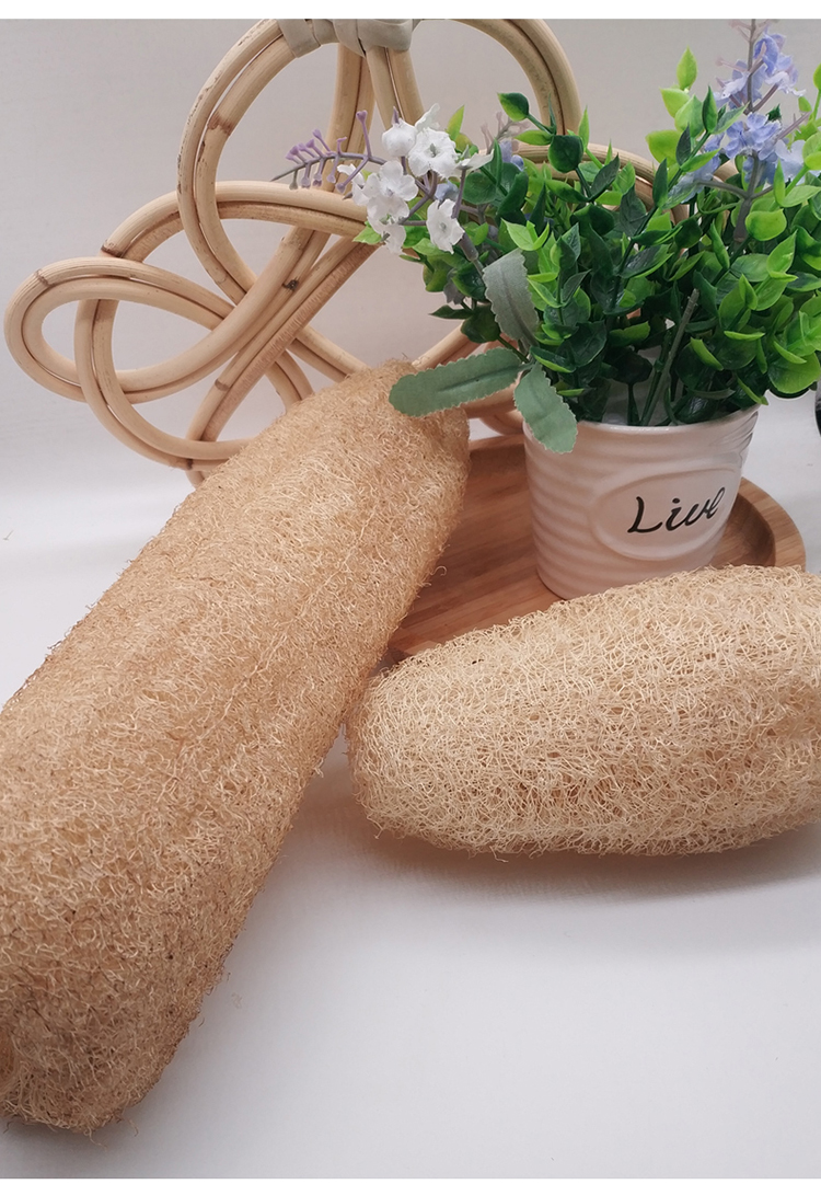 超级新品 丝瓜络百洁布洗碗布厨房丝瓜刷天然洗碗干丝瓜瓢水丝瓜藤刷