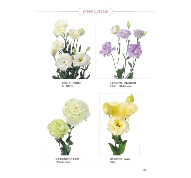 花艺植物全图鉴港台原版monceau Fleurs 晨星 中商原版 商贸 Monceau Fleurs著 摘要书评在线阅读 苏宁易购图书