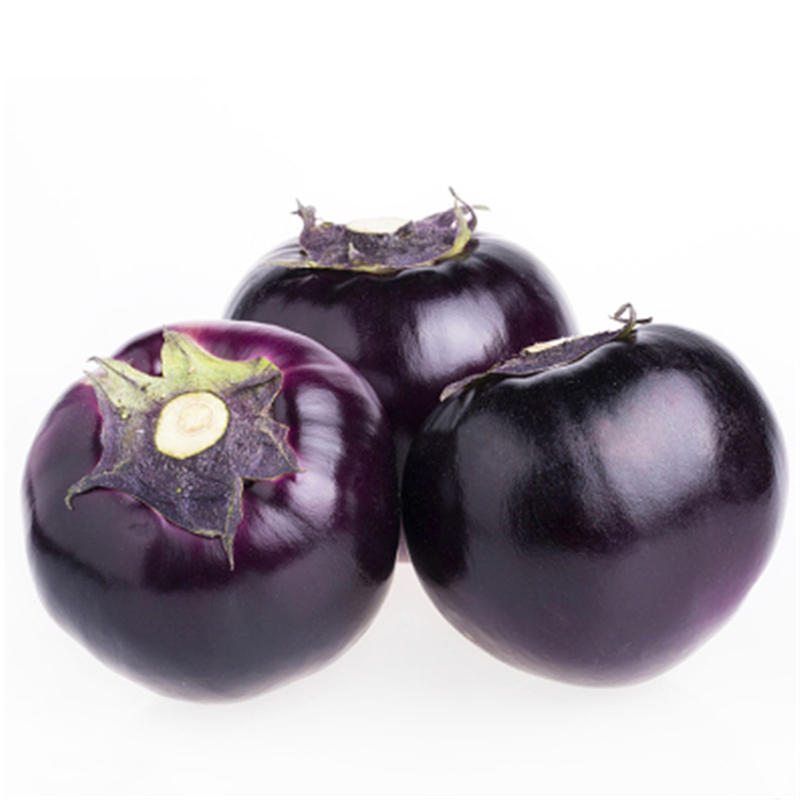 子暄园艺用品 蓟农快圆茄种子四季播种紫圆茄籽紫茄种子蓟农快圆茄