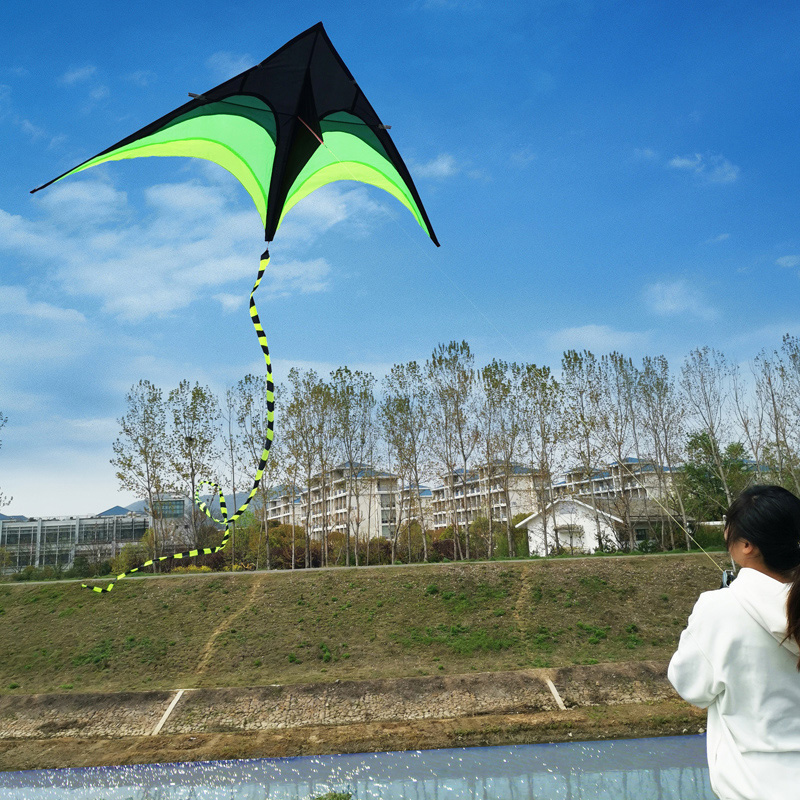 16米大草原线板100米线草原风筝儿童成人大微风易飞初学者新手新款