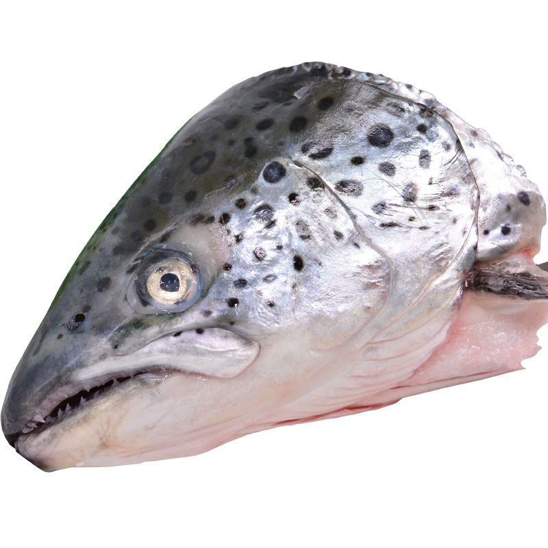 虹鳟三文鱼头鱼头新鲜超大冰鲜海鲜水产鲜活烧烤炖汤食材鱼头当天现切