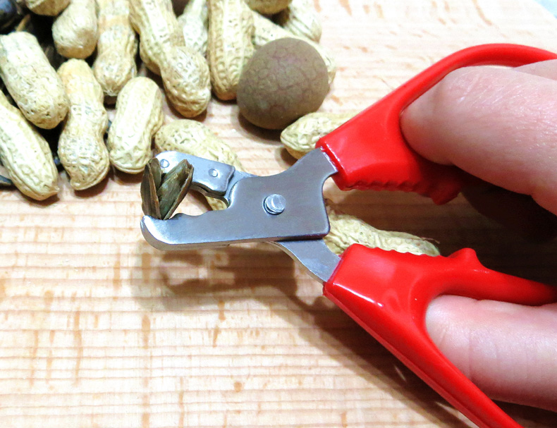 剥花生壳夹花生剥壳器手剥花生工具拔弄扒花生夹嗑瓜子松子钳