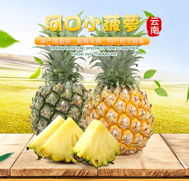 25kg云南香水菠萝红河小菠萝新鲜水果香水小菠萝凤梨