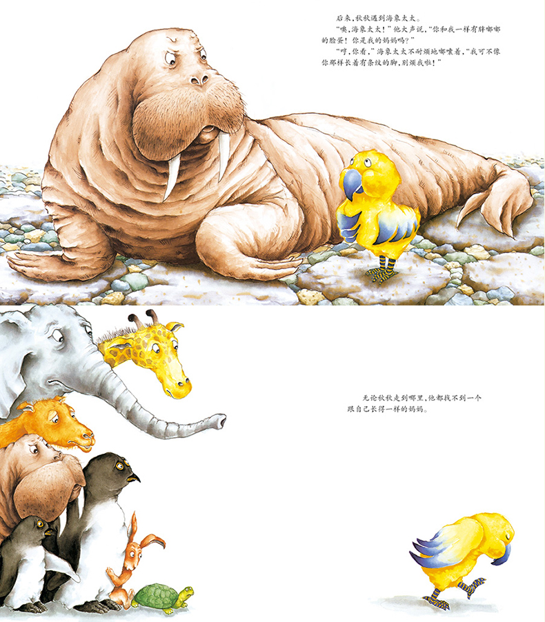 猪先生去野餐 狼大叔的红焖鸡 秋秋找妈妈 强大的勇士 凯萨兹绘本0-3
