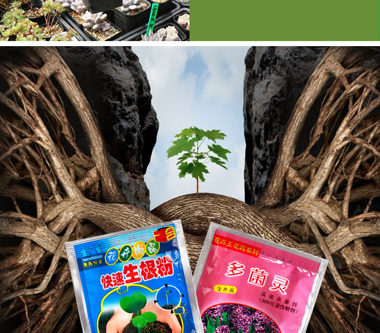 《生根粉多菌灵通用花卉植物快根扦插移栽壮根壮苗百虫灵杀菌剂 生根