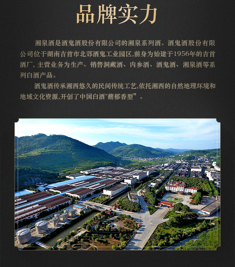 醉仙网酒鬼酒52度湘泉酒城事500ml6瓶装整箱装国产白酒收藏