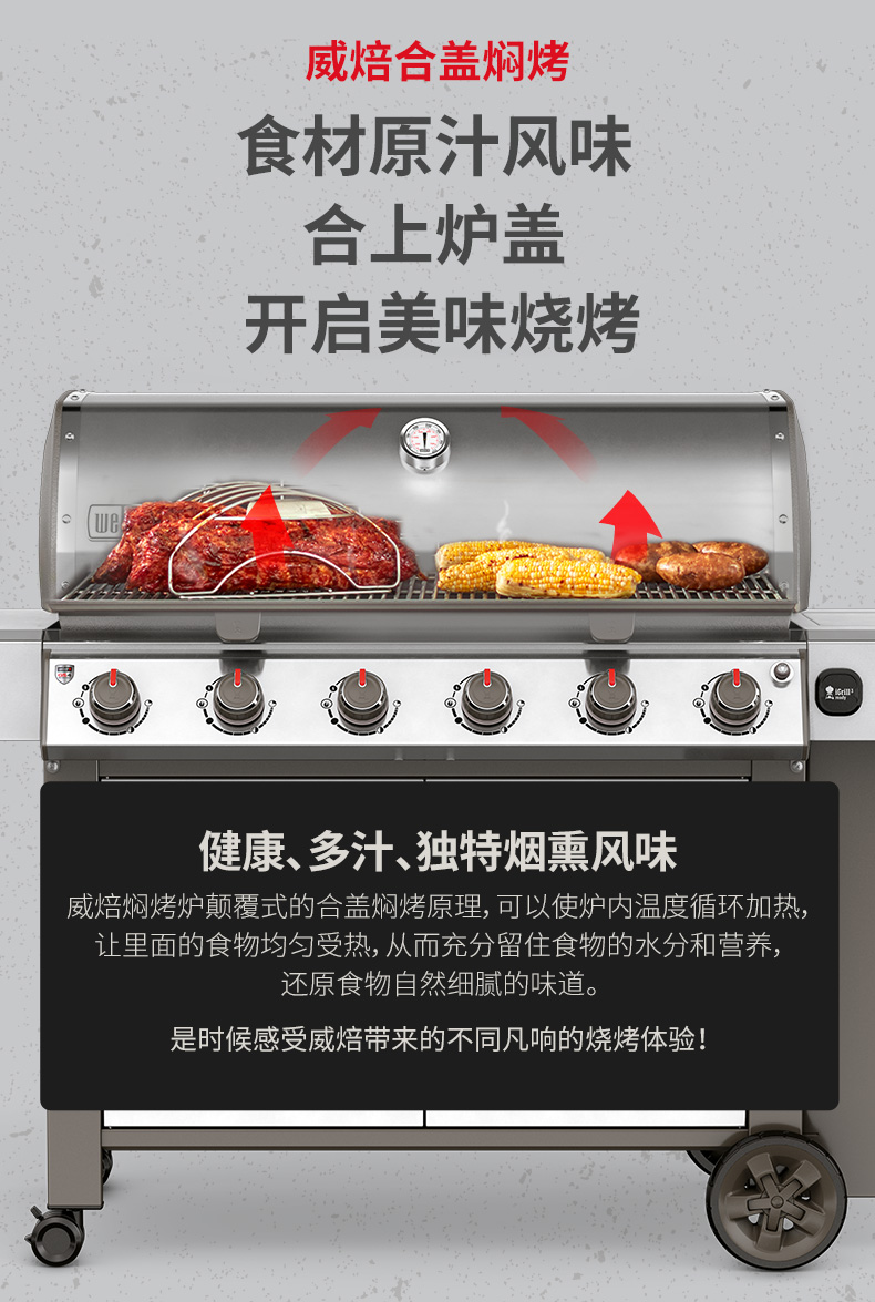 weber美国烧烤炉烧烤架庭院烤炉燃气烧烤架不锈钢大型户外别墅烧烤炉