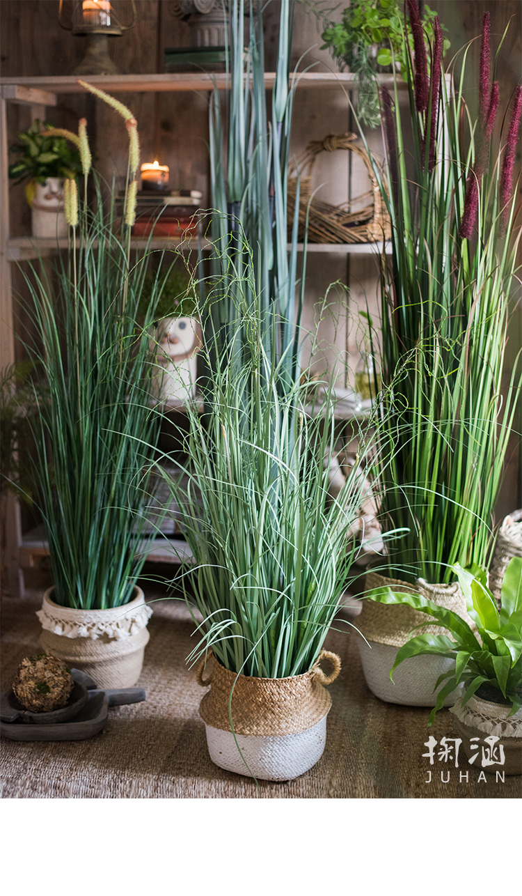 洋葱盆景大型仿真植物绿植仿真树装饰摆件陈列布景道具 f臾金子葱草