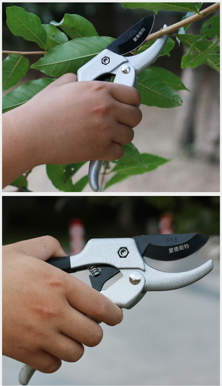 封后园艺省力剪刀园林花木修剪工具修枝剪果树剪刀整枝剪园艺剪枝树枝