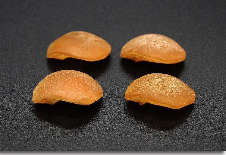 鱼惊石喉骨打磨原料鱼惊骨鱼喉骨防宝宝小孩受惊辟邪青鱼石手串