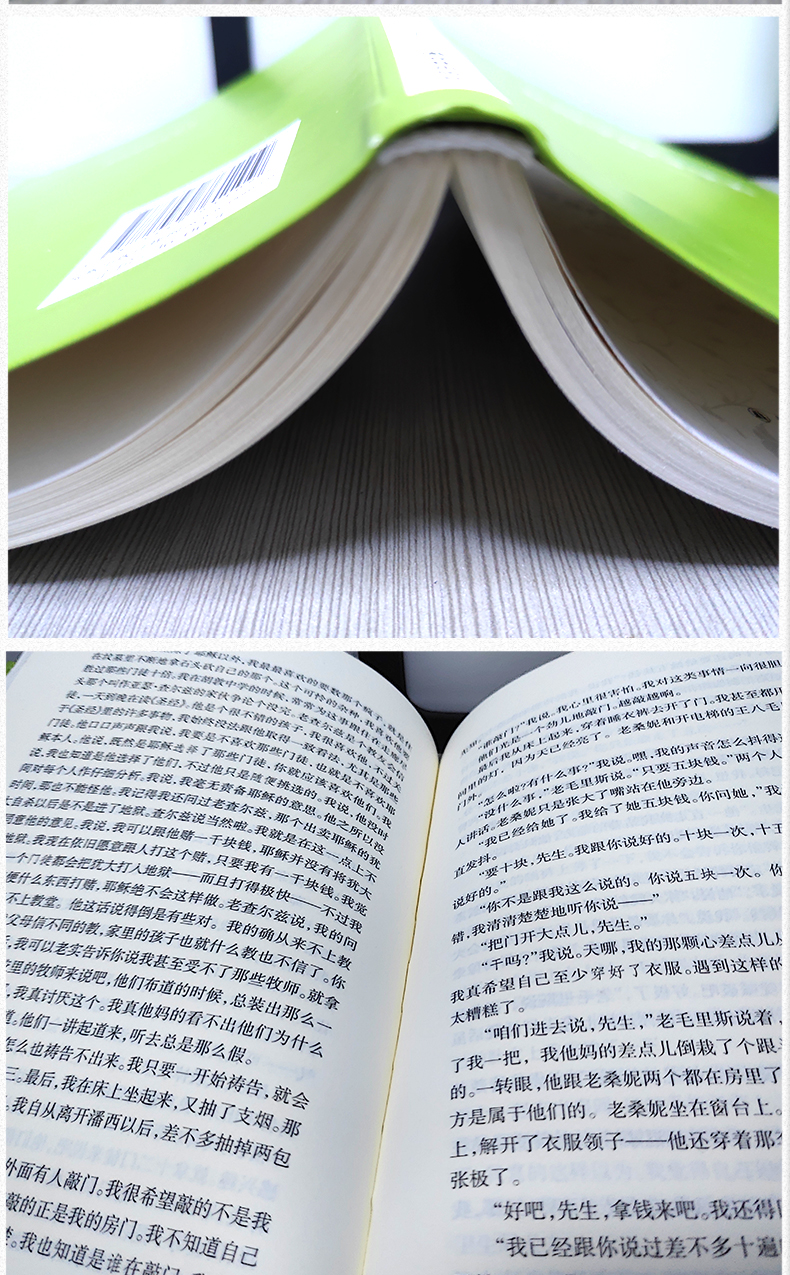 [诺森正版]麦田里的守望者正版书中文原著译林出版社