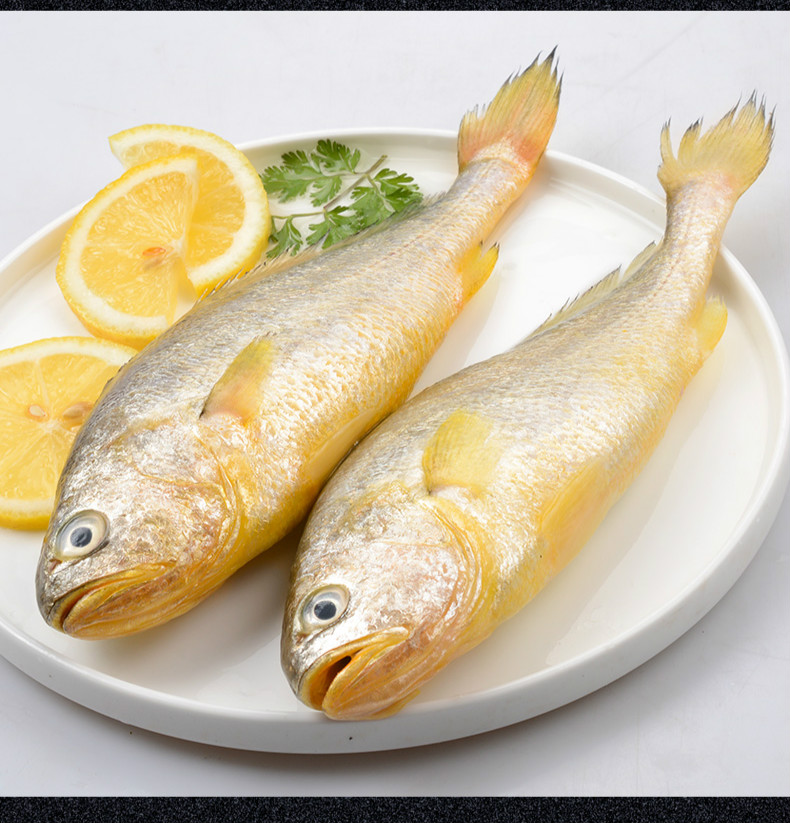 超级新品 新鲜花鱼生鲜 海域新鲜青岛小花鱼鲜活海鲜水产深海花鱼 2斤