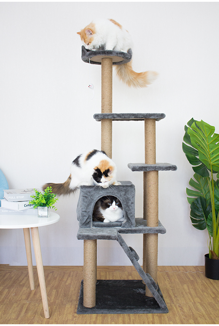 贝鸟 猫架猫爬架猫窝猫树一体猫抓柱小型爬猫架带窝别墅实木猫架子