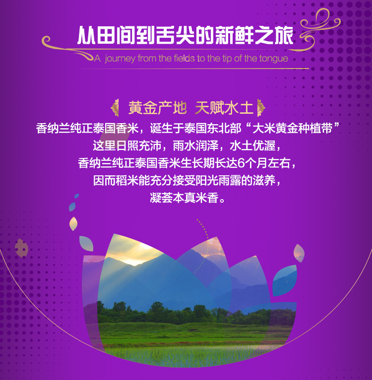 香纳兰纯正泰国香米5kg