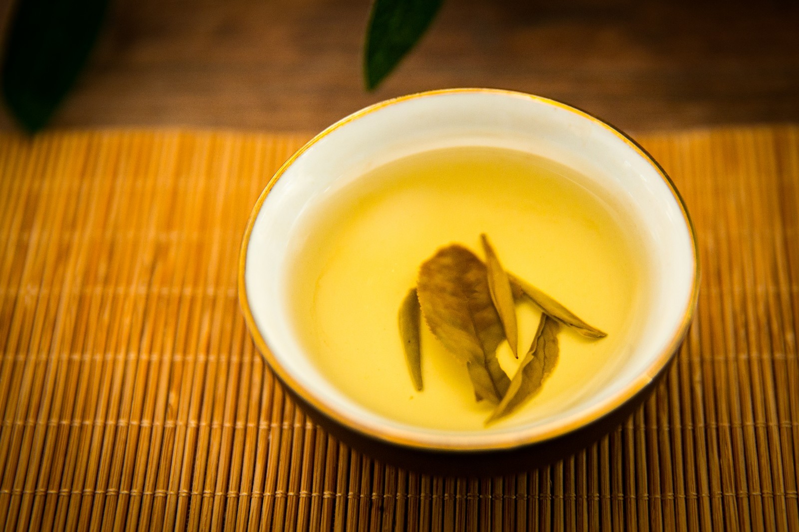 中茶福鼎白茶蝴蝶牌茶叶2019年百年丝路5920白茶饼357克片