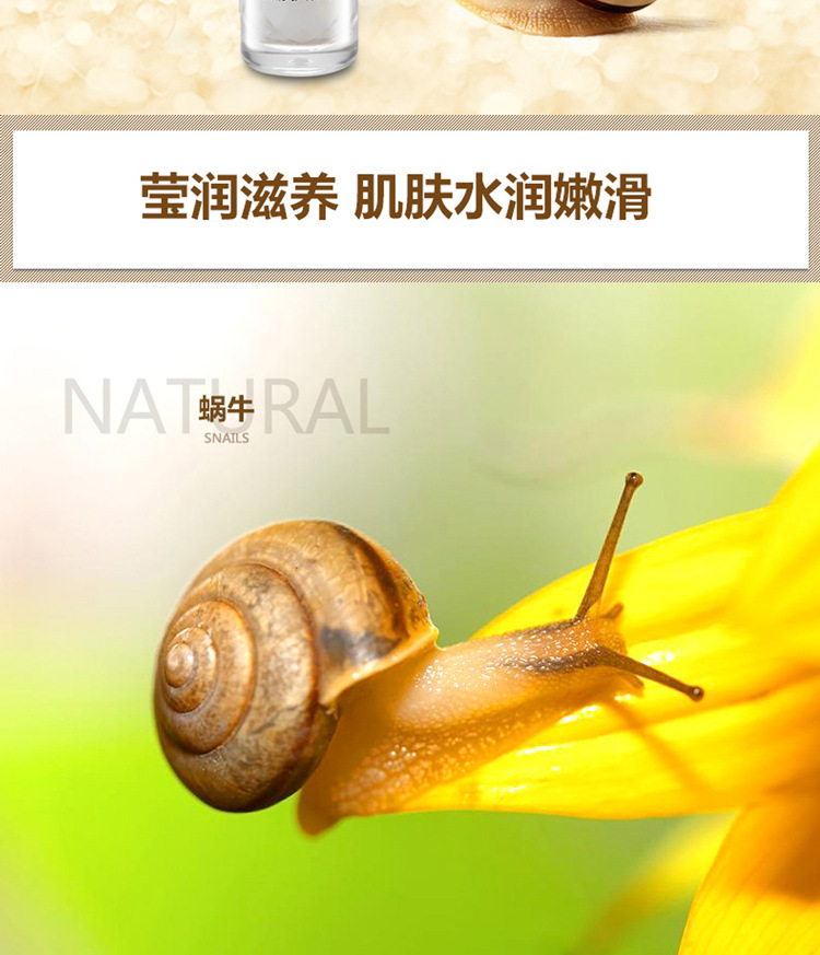 红参蜗牛眼精华保湿眼霜爽肤水面霜乳液化妆品套装组合
