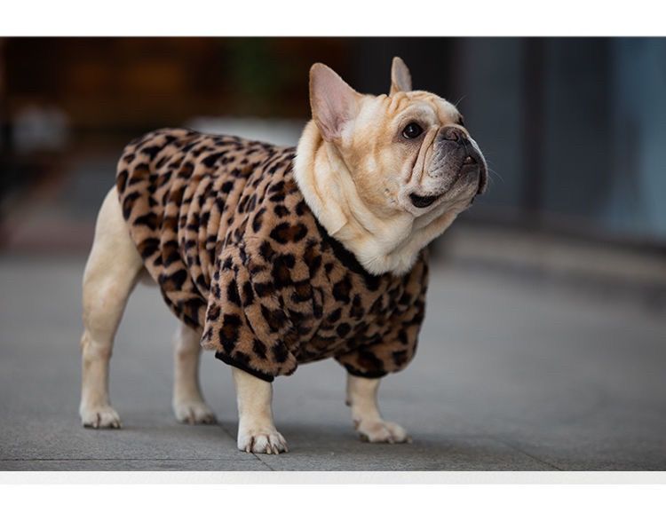 豹纹法斗秋冬保暖衣斗牛犬毛绒睡衣狗狗衣服泰迪柯基英斗巴哥胖狗豹纹