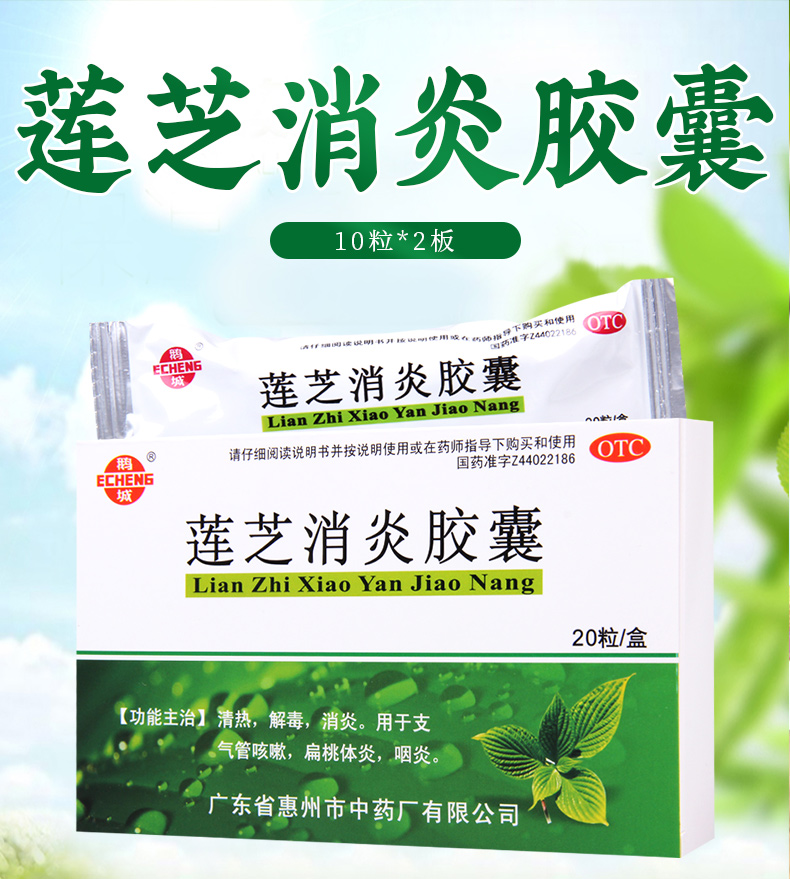 鹅城莲芝消炎胶囊20粒盒用于支气管咳嗽扁桃体炎咽炎