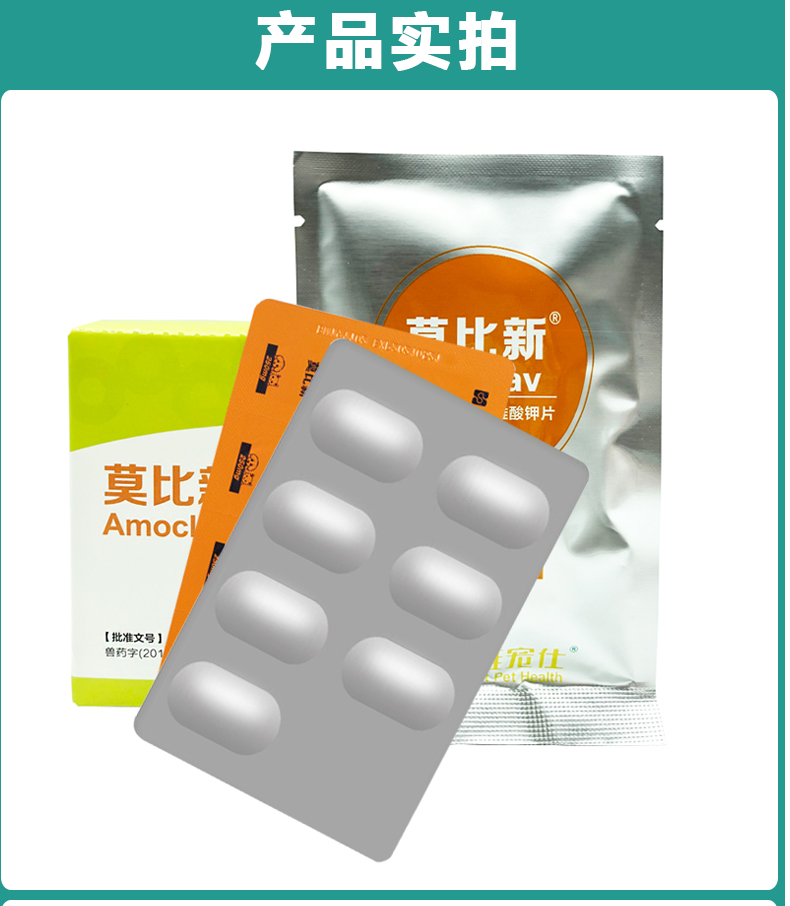 汉维宠仕莫比新消炎药猫咪阿莫西林克拉维酸钾片宠物消炎狗狗感冒药品