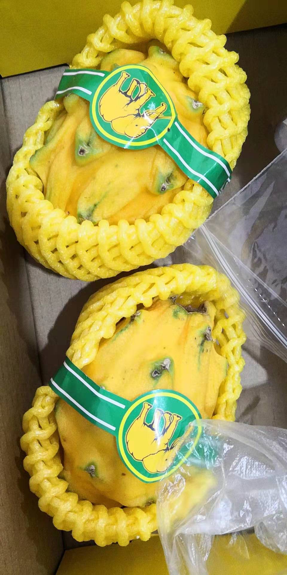 新鲜黄色火龙果麒麟果燕窝果进口黄肉火龙果1个装满2个顺丰 邮【价格