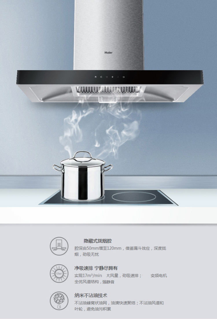 海尔(haier)厨房电器cxw-200-t202 jzt-q206(12t) 海尔(haier) 厨电