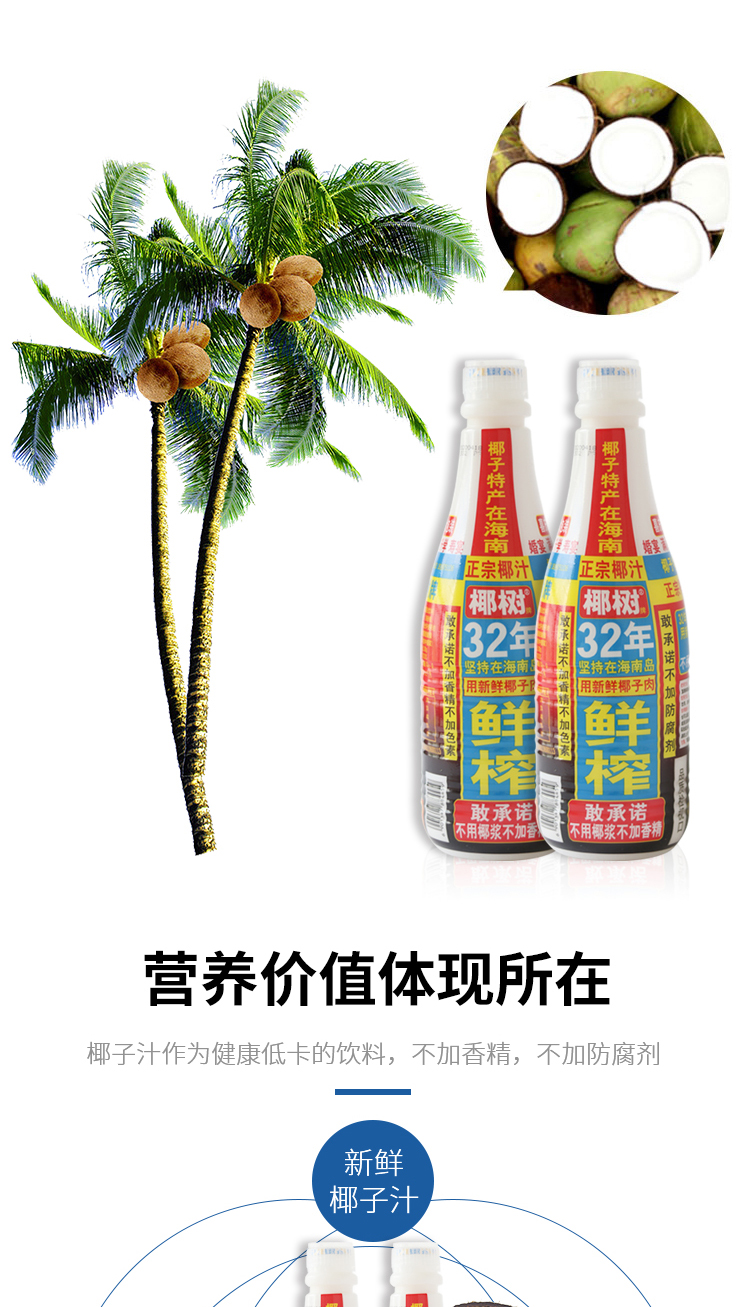 椰树椰汁植物蛋白饮料125l