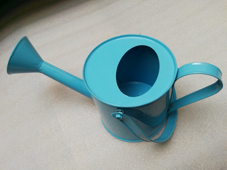 符象园艺用品 彩色铁皮花洒水壶浇水喷花桶拍摄道具园艺工具创意插花